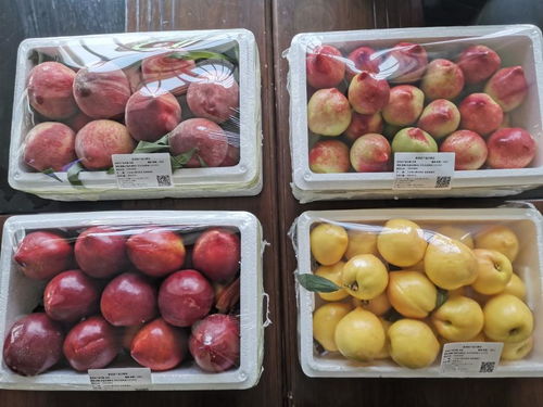 莒县果庄镇举办日照市食用农产品合格证制度推进现场会，批发环节成关键