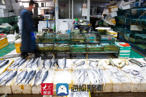 探访日照市金阳农产品批发市场 守护百姓“菜篮子”的安全与活力