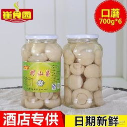 吉林松原代理盐渍金针菇 内包装与外包装的关键作用与采购指南